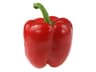 Bell Pepper: Red