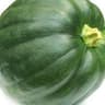Squash
